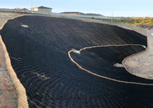 Geocell laid down on the steep wetland embankment to stabilise soil, April 2020 (Image: Heidi Mikulic, THLA)