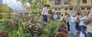 One of the Future Village test sites located in Parramatta Square (Image: Future Village)