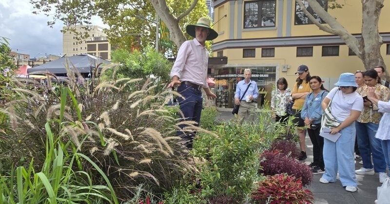 One of the Future Village test sites located in Parramatta Square (Image: Future Village)