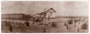 Panoramic print of Yarralumla Nursery (Image: Weston Family Papers, ACT Heritage Library)