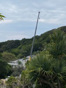 Difficult access and large trees require heavy equipment to lift the plants over the house (Images: L. McClymont)