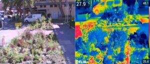 Thermography analysis to determine thermal performance of green infrastructure at Parramatta Town Hall (Image: University of Technology Sydney)