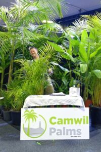 Spot the grower (Craig Wilkinson) at the Camwill Palms display
