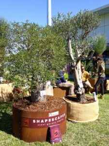 Advanced trees at the Epic Gardener display