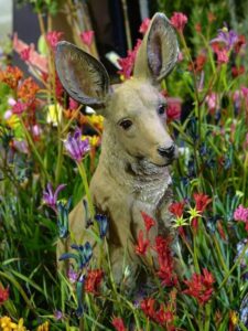 Some beautiful kangaroo paws, both plant and ‘animal’, were on display at the Ausplant Nursery stand