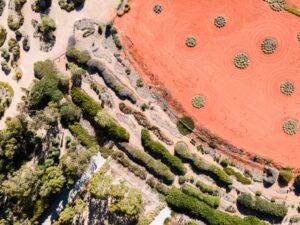 Aerial view of the Dry River Bed taken in 2022 showing significant dieback due to Armillaria (Image: Royal Botanic Gardens Victoria)