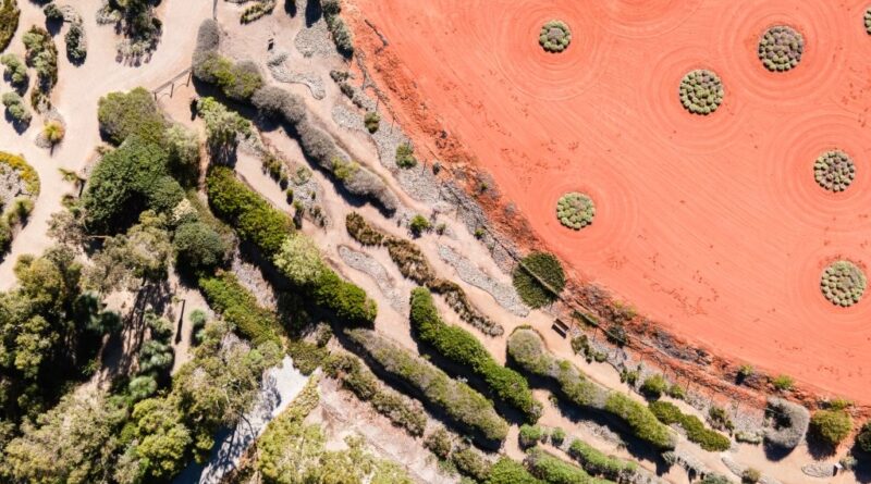 Aerial view of the Dry River Bed taken in 2022 showing significant dieback due to Armillaria (Image: Royal Botanic Gardens Victoria)