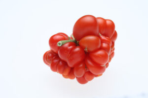 The oddly shaped but very delicious ‘Reisetomate’ (Image: SunnyCeleste via iStock)