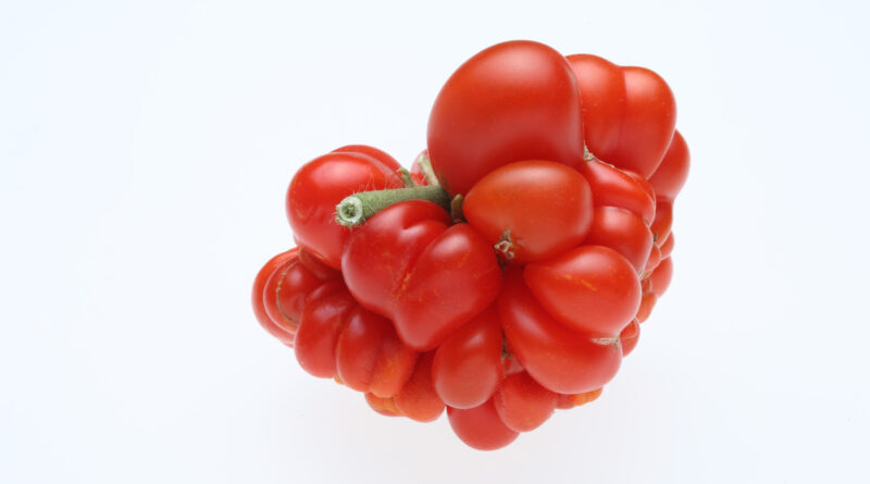 The oddly shaped but very delicious ‘Reisetomate’ (Image: SunnyCeleste via iStock)