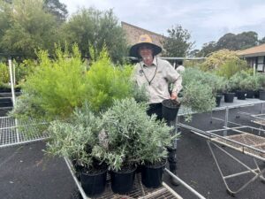 Darren Martin, Community Greening Officer, Botanic Gardens of Sydney (Image: TAFE NSW)