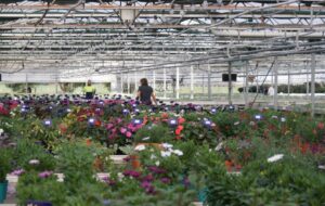 Manual labour looks ‘safe’ for the moment until AI generated efficiencies free up more investment in automation (Image: John Fitzsimmons - KonzeptVZ)