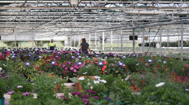 Manual labour looks ‘safe’ for the moment until AI generated efficiencies free up more investment in automation (Image: John Fitzsimmons - KonzeptVZ)