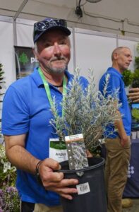 Angus Gault from Plantmark with Eremophila ‘Spring Mist’ (Images: Ludovic Vilbert, Inwardout Studio)