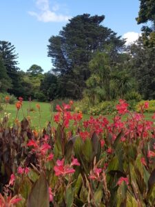 Mass plantings as structural borders define different garden zones