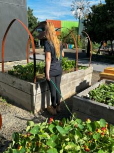 Food gardens in schools, when correctly managed, become a valuable tool in promoting healthy eating habits (Image: Evergreen Infrastructure)