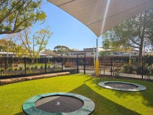 Quick growing Salvia leucantha (Mexican bush sage) will enclose the trampoline area, while trees such as Ginkgo biloba and Fraxinus pennsylvanica ‘Cimmzam’ will mature to provide shade (Image: Botanical Traditions Pty Ltd)