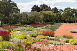 The completed Dry River Bed in peak flowering in November 2024 (Image: Bonnie-Marie Barnsley)