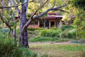 View to the house on the Red Gums property (Image: Claire Takacs)