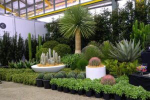 Exotic Nurseries & Landscaping’s display (Images: Ludovic Vilbert, Inwardout Studio)