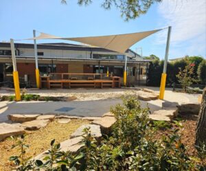 Semi-mature plants used to protect smaller plantings (Image: Botanical Traditions Pty Ltd)