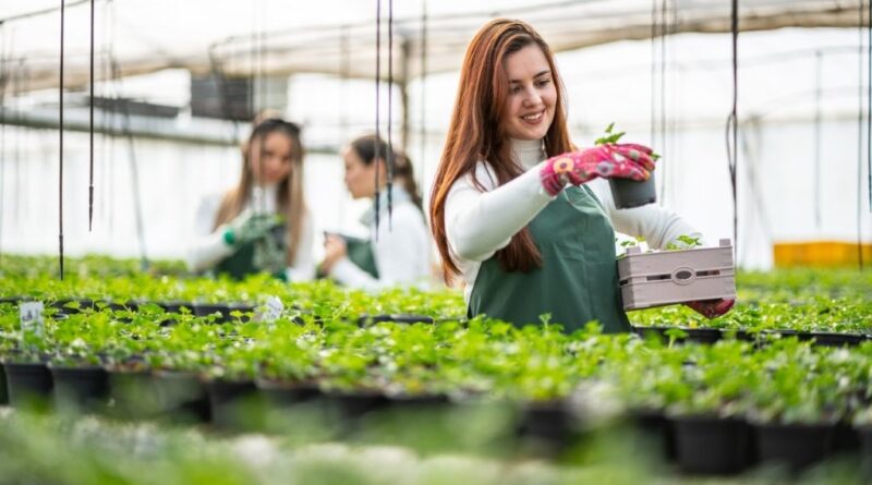 Emerging Leaders program: Building capability across the production nursery sector