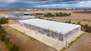 Site, orientation, structural design and materials are all considerations when building a new or upgraded greenhouse as seen here at Australian Grain Technology in Roseworthy, SA