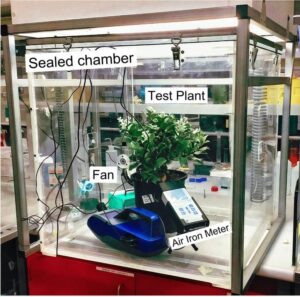 Negative air ions (NAI) experimental design and set-up in situ (Image: Luowen Lyu )