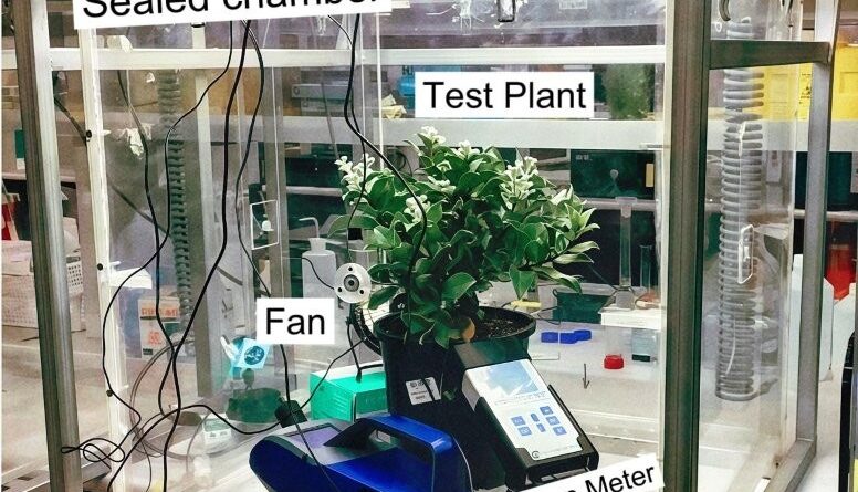 Negative air ions (NAI) experimental design and set-up in situ (Image: Luowen Lyu )