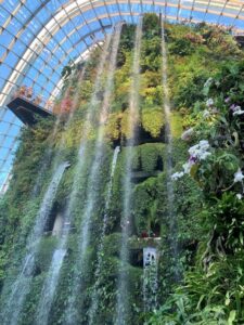 35-metre indoor waterfall in the Cloud Forest at Gardens by the Bay in Singapore (Image: Luowen Lyu)