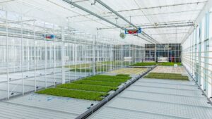 Provenance Propagation nursery greenhouse featuring ebb and flood tables, automated boom irrigation, hydronic heating and HAF fans