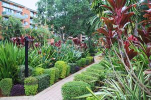 Commercial Maintenance: Green by Nature – Sydney Park Village