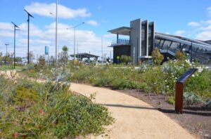 A Woody Meadow at a train station (Image: The University of Melbourne)