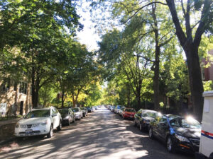 Cities such as Melbourne need to adopt machine-learning programs that can read satellite and aerial images to accurately record tree canopy cover (Image: Evergreen Infrastructure)