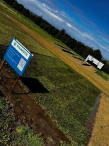 Stampede Hybrid BuffaloTM installed at a Turf NSW erosion control site – seen here after experiencing 20 frosts with no pigments applied