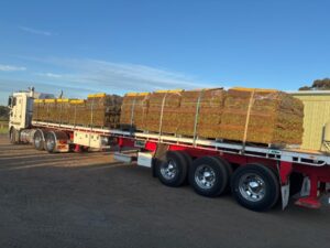 Harvested turf ready to be delivered to Lawn Solutions Australia members for planting