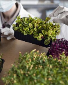 (Image via Freepik, www.freepik.com)