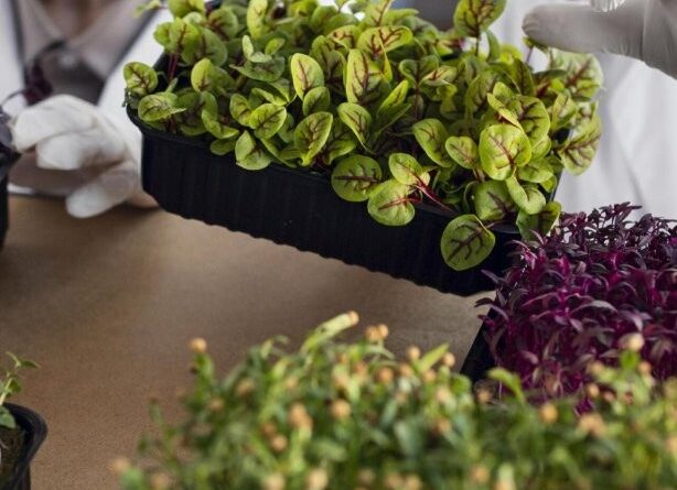 (Image via Freepik, www.freepik.com)