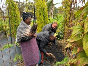 The author (at back) harvesting African yams with volunteers from the United African Farm