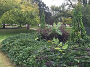 Tropical edible bed at Dandenong Park