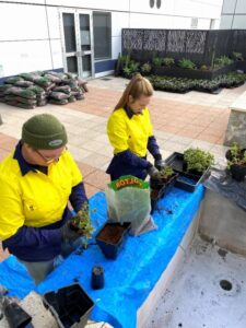 Evergreen Infrastructure employees Madison Slocombe (L) and Taylor Casey (R) receiving on-site training (Image: Evergreen infrastructure)