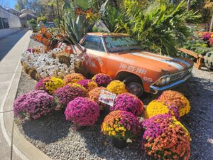 The Groovy Plants Ranch in Ohio, USA (Image: Supplied by the authors)