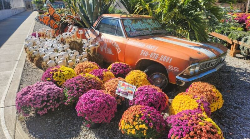 The Groovy Plants Ranch in Ohio, USA (Image: Supplied by the authors)