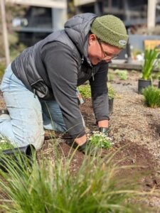 Madison Slocombe planting a green roof installation (Image: Evergreen infrastructure)