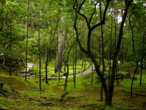 Saihoji garden in November 2010 (Image: Epiq via Wikimedia Commons, CC BY-SA 4.0)