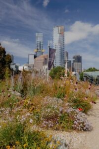 Jac is part of the Design team for the Laak Boorndap garden that will be built in the Melbourne Arts Precinct, including its proof-of-concept test site seen