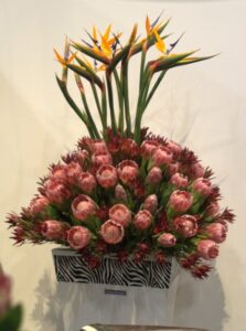 Cut flowers allow consumers to enjoy beauty for longer (Image: John Fitzsimmons)