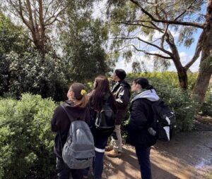 The GROW Team with Scott Levy (Horticulturist) at the RBGV Cranbourne looking at different species that would suit the Fed Square site
