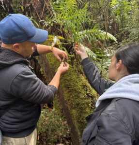 Lowanna and Russell at Grants Picnic Ground looking at kangaroo fern (Microsorum pustulatum)