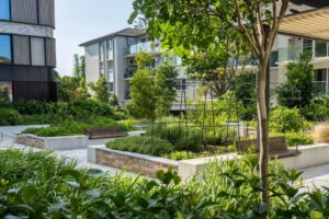 This project included a variety of green walls, which were added to the scope of work for The Gardenmakers after the original contractor went into administration mid-build
