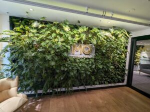 The Melbourne Quarters’ green wall located in the foyer of their city office requires careful management due to its location in the building and lack of moving air (Image: Evergreen Infrastructure)